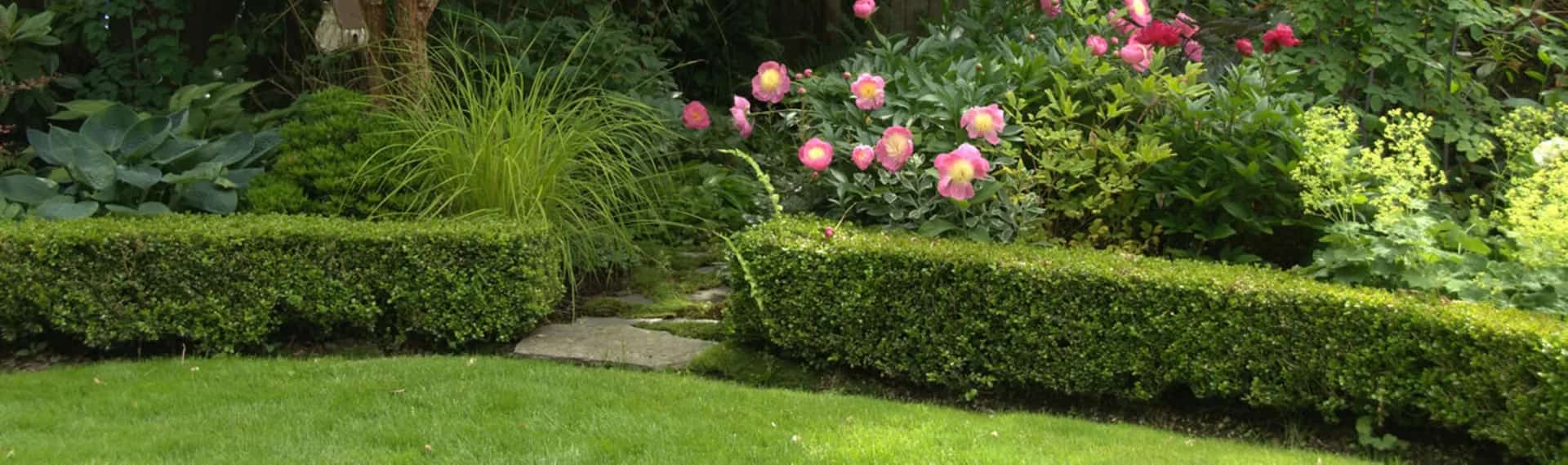 Garden Services by Famous Cleaning Services