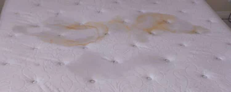 Mattress Cleaning by Famous Cleaning Services
