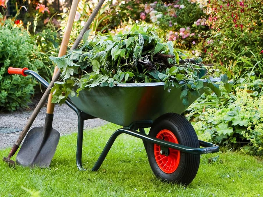 Garden Services breadcrumb background
