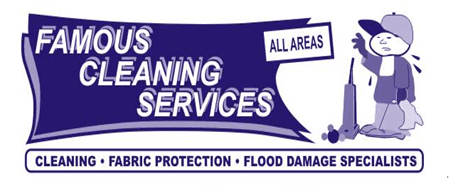 Famous Cleaning Services logo