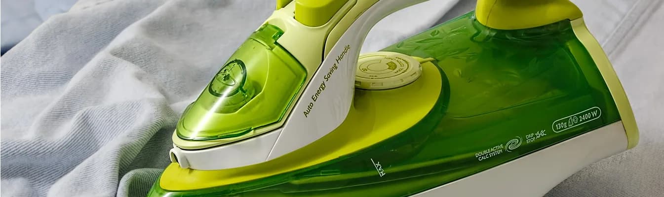 Domestic Cleaning / Maid Services service image