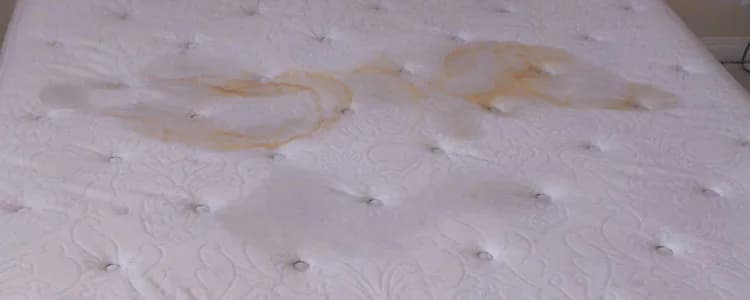 Mattress Cleaning breadcrumb background