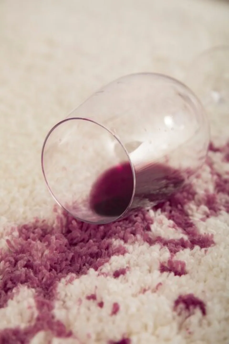Carpet Cleaning service image